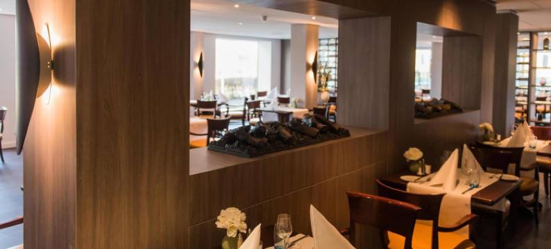 祖特尔梅尔-海牙金色郁金香酒店(Golden Tulip Zoetermeer - Den Haag)图片