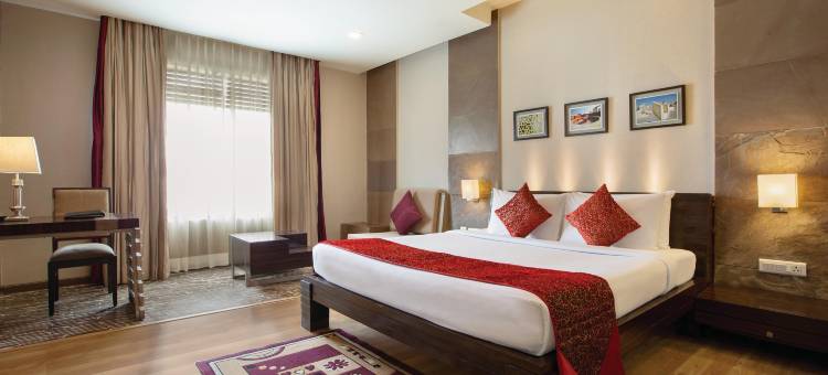 阿杰梅尔温德姆华美达酒店(Ramada by Wyndham Ajmer)图片