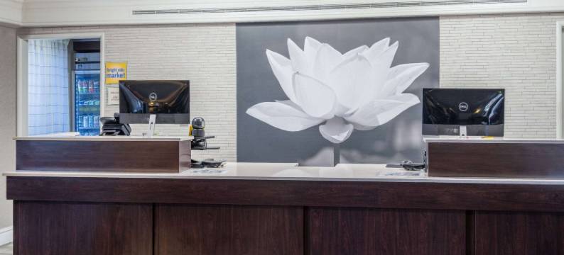 萨克拉门托北拉昆塔温德姆酒店(La Quinta Inn by Wyndham Sacramento North)图片