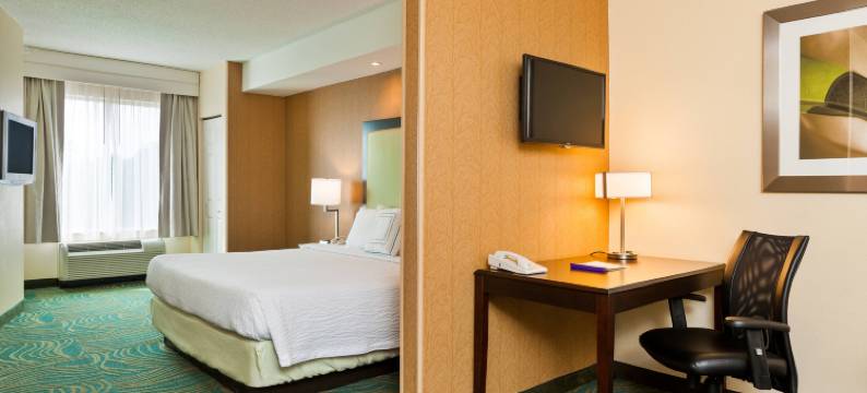 夏洛特诺曼湖/莫尔斯威尔 SpringHill Suites 酒店(SpringHill Suites Charlotte Lake Norman/Mooresville)图片