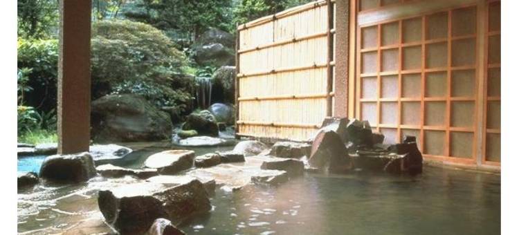 盐壶温泉酒店(Shiotsubo Onsen Hotel)图片