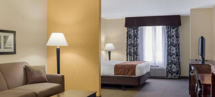 拉皮德城舒适套房酒店及会议中心(Comfort Suites Conference Center Rapid City)图片
