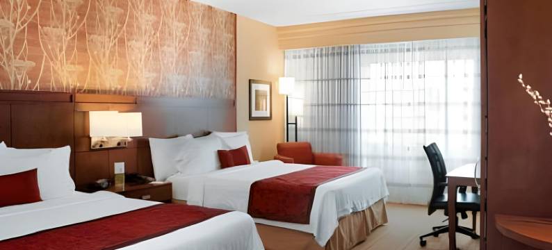 纽波特纽斯机场万怡酒店(Courtyard Newport News Airport)图片