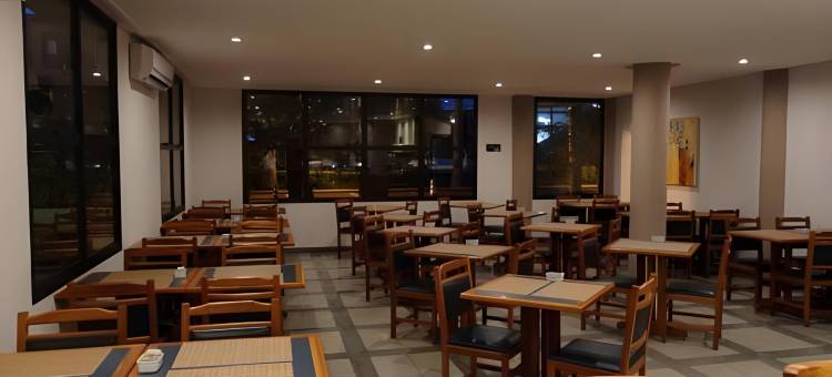 菲尼克斯酒店里梅拉(Fênix Hotel Limeira)图片