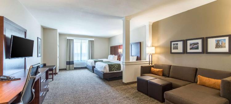 舒适套房酒店(Comfort Suites Kyle)图片