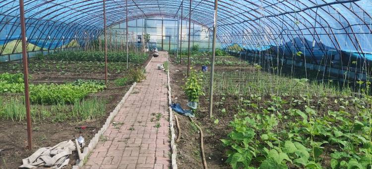 清风小栈鄂温克店民宿(索伦大街分店)图片