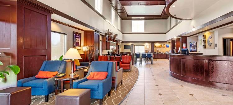 舒适全套房酒店(Comfort Suites)图片