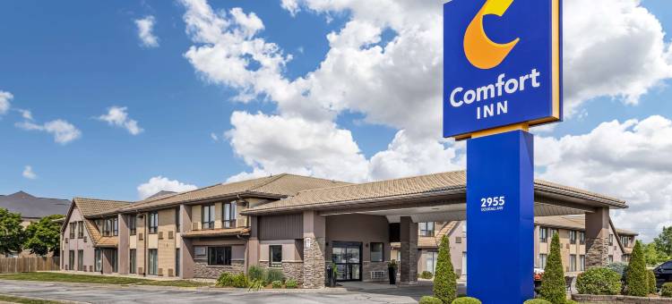温莎舒适酒店(Comfort Inn)图片