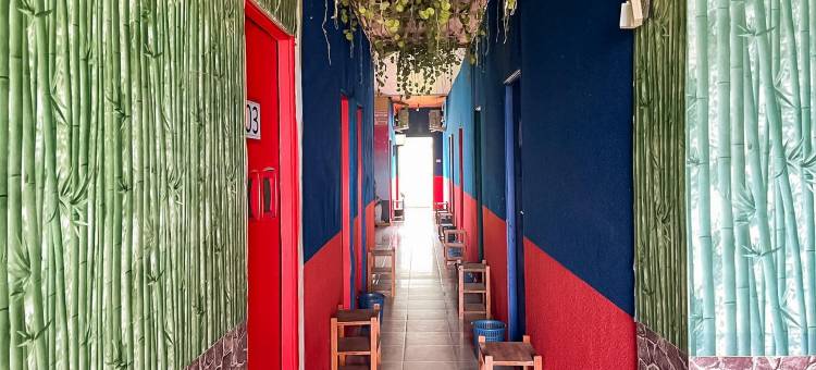 RedDoorz Syariah at Jalan RJ Junjungan Lubis Pandan图片