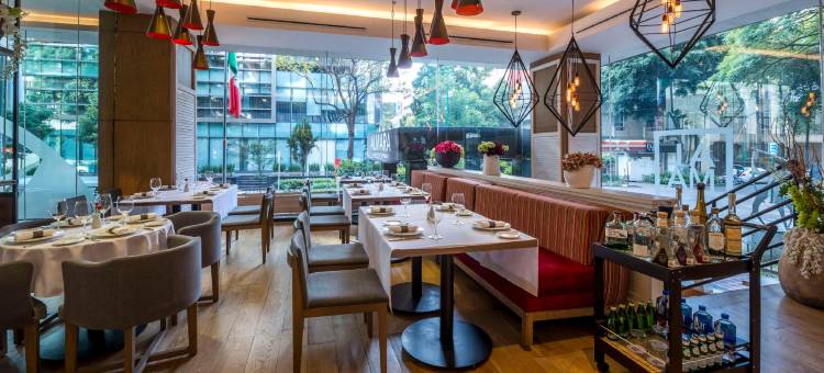 格拉瑞亚瑞福玛广场酒店(Galeria Plaza Reforma)图片