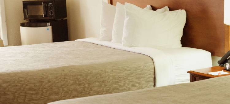 近查塔努加南部的品质酒店(Quality Inn near Chattanooga South)图片