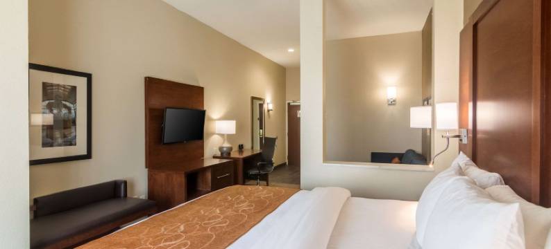 舒适套房酒店梅里迪恩和I-40(Comfort Suites Meridian and I-40)图片