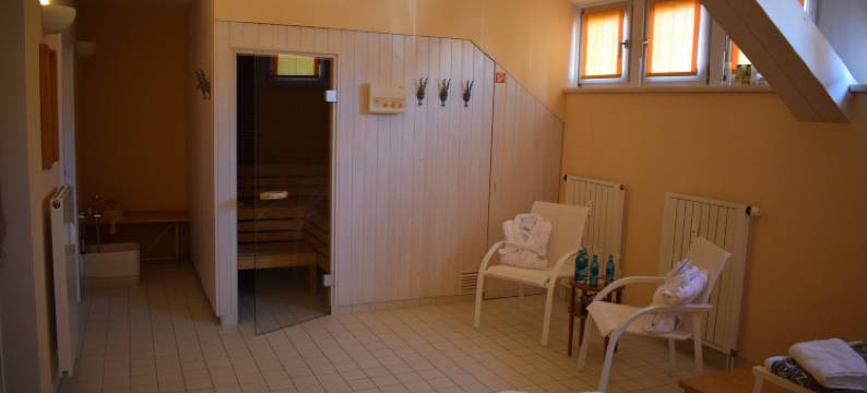 席尔奇阿肯森特酒店(Akzent Hotel Goldner Hirsch)图片