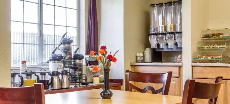 凯艺套房酒店(Quality Inn & Suites)图片