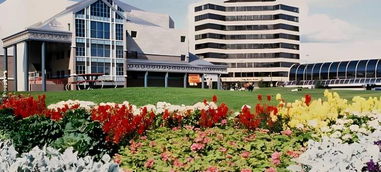 安克雷奇市中心区万豪SpringHill酒店(SpringHill Suites Anchorage Midtown)图片