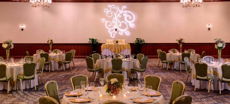 纽波特纽斯市中心万豪酒店(Newport News Marriott at City Center)图片