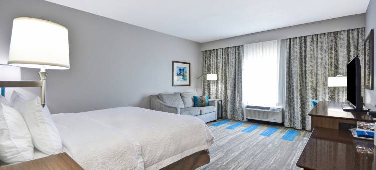 辛辛那提-布鲁艾施欢朋酒店(Hampton Inn Blue Ash Cincinnati)图片