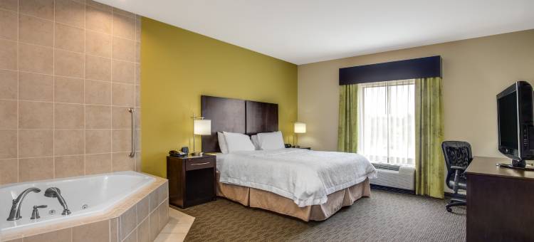 希尔顿欢朋酒店-奥索卡(Hampton Inn Ozark)图片