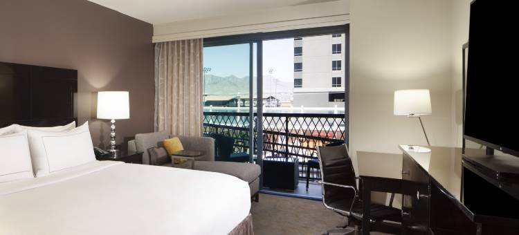 埃尔帕索市中心希尔顿逸林酒店(DoubleTree by Hilton Hotel El Paso Downtown)图片