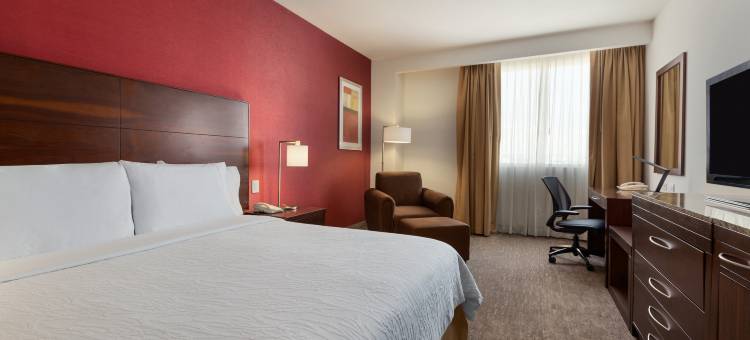 奎雷塔罗希尔顿花园酒店(Hilton Garden Inn Queretaro)图片