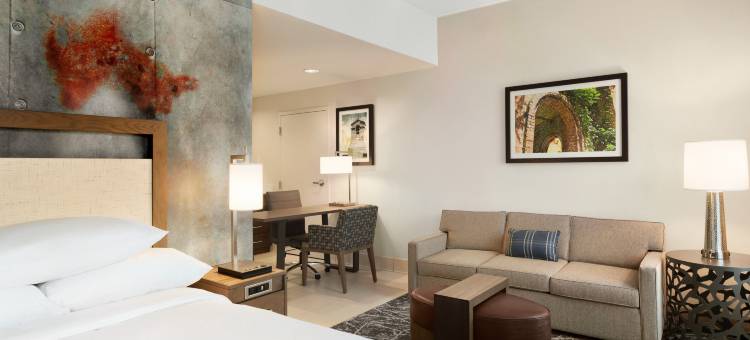 圣安东尼奥布鲁克斯城市基地安泊水疗酒店(Embassy Suites San Antonio Brooks Hotel & Spa)图片