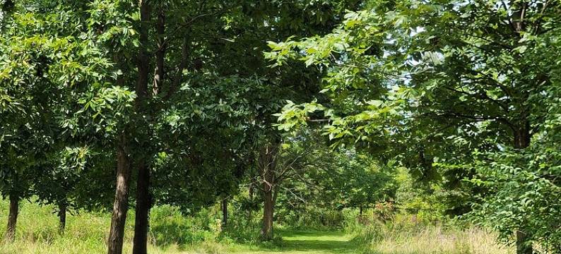 Sugarcreek executive lodging/outdoor adventure headquarters near Olney,IL图片