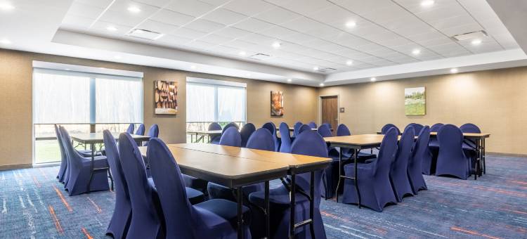 本顿港欢朋套房酒店(Hampton Inn & Suites by Hilton Benton Harbor)图片