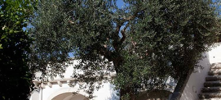 拉索米塔雷拉斯酒店(La Sommità Relais & Chateaux)图片