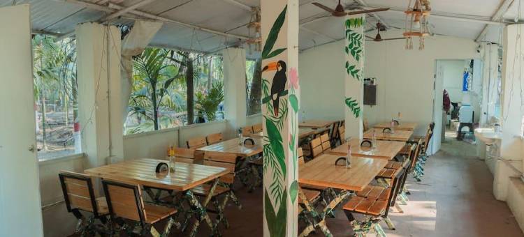可可棕榈旅馆(Coco Palms Inn)图片