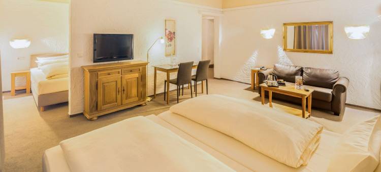 美因茨贝斯特韦斯特酒店(Best Western Hotel Mainz)图片