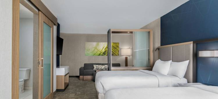 霍兰万豪SpringHill Suites酒店(SpringHill Suites Holland)图片