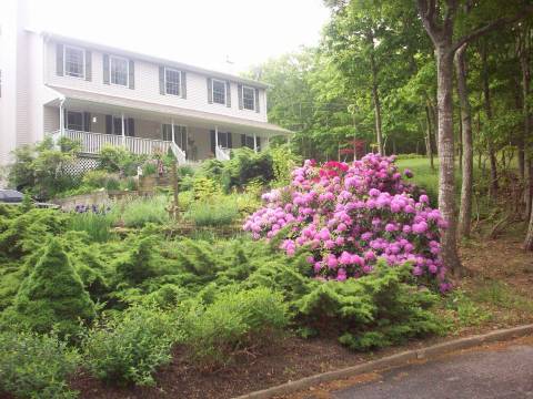 Quiet Cul de Sac, Sag Harbor Village 1 mi, Heated Salt Water Pool w/ Waterfall