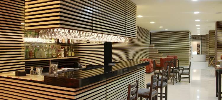 萨卡特卡斯米西翁阿根托酒店(Hotel Misión Argento Zacatecas)图片
