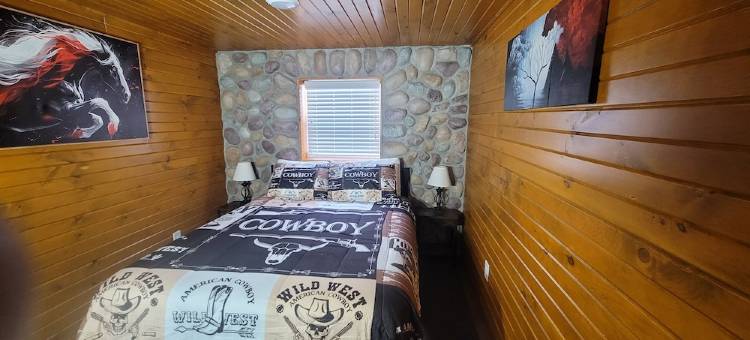 Hot Tub! Outside Traverse City, Sleeps 6 Pet Friendly, Fire Place, Fire Pit图片