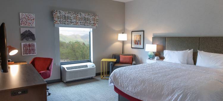 黑山欢朋酒店(Hampton Inn by Hilton Black Mountain)图片