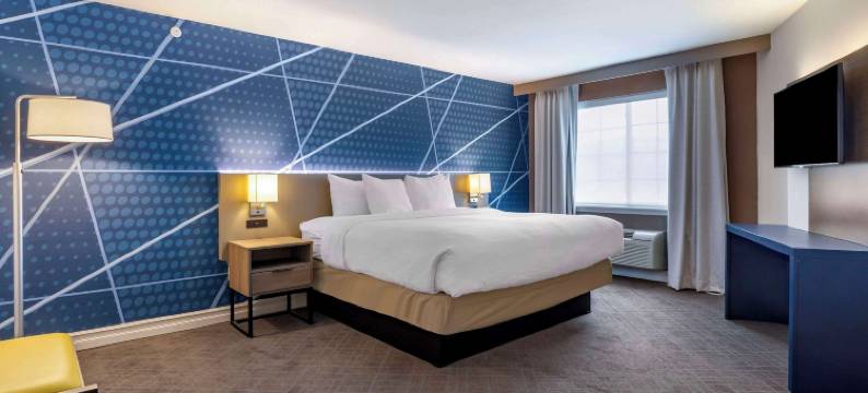 东格林奥尔巴尼舒适套房酒店(Comfort Inn & Suites East Greenbush - Albany)图片