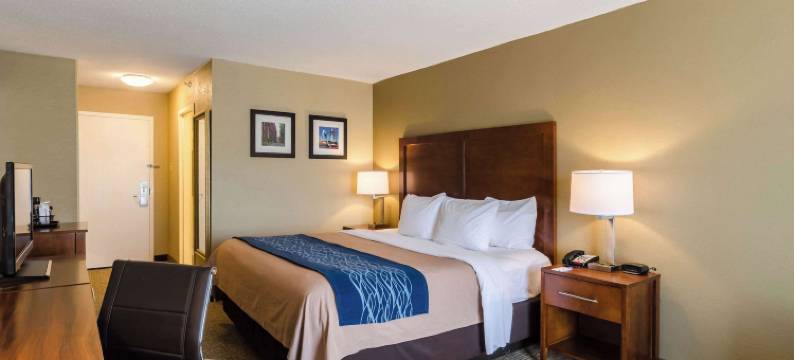 舒适酒店兰道夫 - 波士顿(Comfort Inn Randolph-Boston)图片