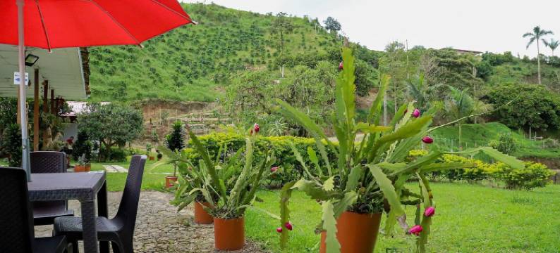 瓜亚卡内斯村舍酒店(Finca Hotel Los Guayacanes)图片