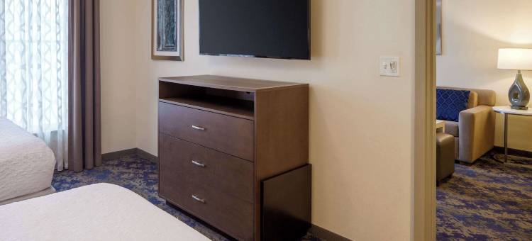 Homewood Suites by Hilton-纽奥良法国区(Homewood Suites by Hilton New Orleans French Quarter)图片