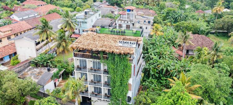 韦利格默风景湾酒店(Scenic Bay Weligama)图片