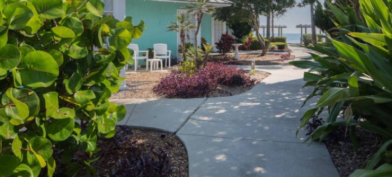 椰子棕榈海滩度假村 II，Ascend 系列酒店(Coconut Palms Beach Resort II, an Ascend Collection Hotel)图片