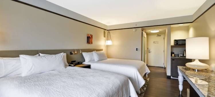 底特律特洛伊希尔顿花园酒店(Hilton Garden Inn Detroit Troy)图片