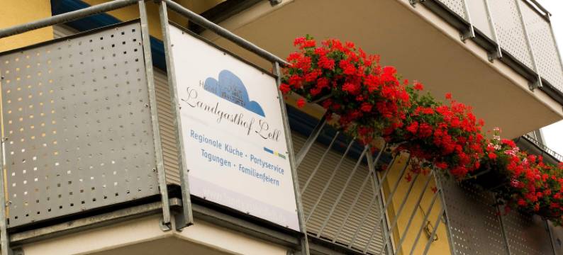 兰德加斯托莱尔酒店(Hotel Landgasthof Lell)图片