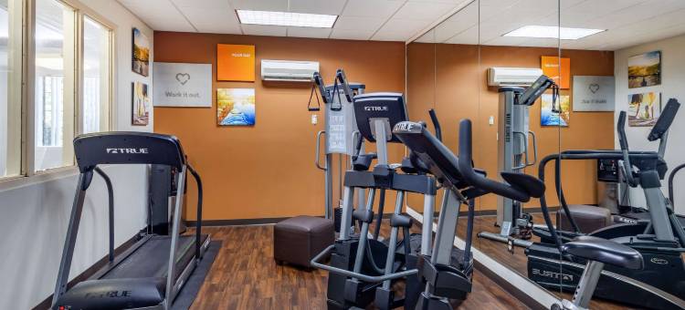 什里夫波特西I-20舒适套房酒店(Comfort Suites Shreveport West I-20)图片