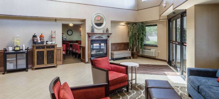 舒适套房酒店(Comfort Inn & Suites)图片