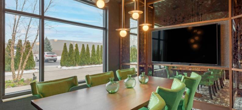 谢尔比镇-底特律坎布里亚酒店(Cambria Hotel Detroit-Shelby Township)图片