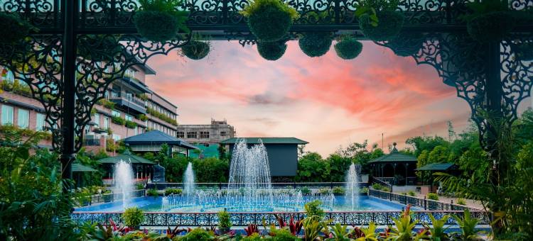 梅菲尔Purnea(Mayfair Purnea)图片