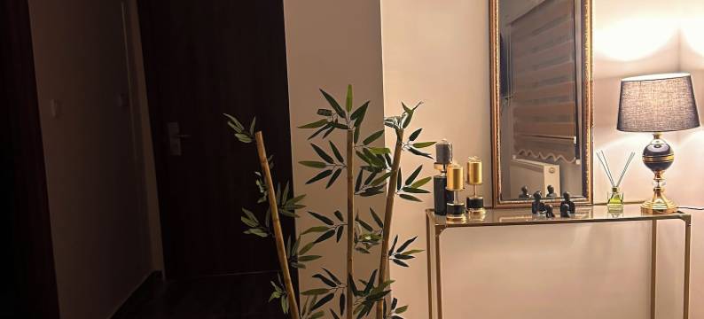 STARMAX CITY HOTEL'S 雅洛瓦(STARMAX CİTY HOTEL'S)图片