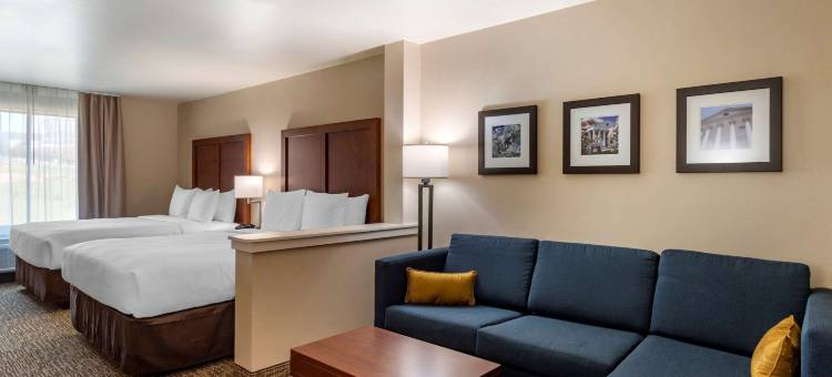 舒适酒店及套房(Comfort Inn & Suites)图片