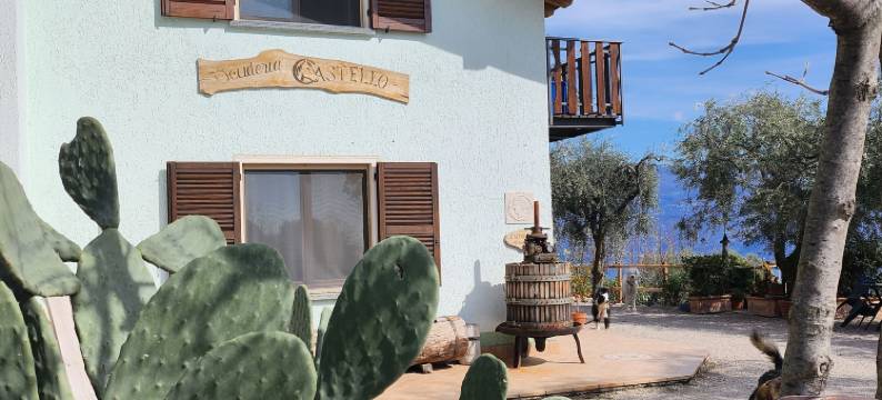 农家乐斯库德里亚卡斯特洛(Agriturismo Scuderia Castello)图片